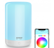 Lampe de nuit Wifi RGB + Blanc compatible Google Home et Alexa