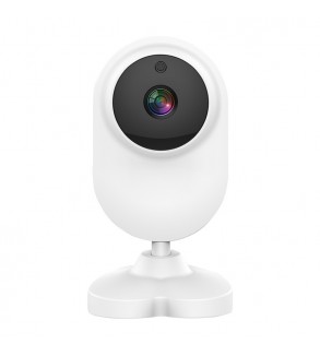 Nauwkeurig Imitatie steno 1080P Wifi IP camera compatible with Alexa and Google Home