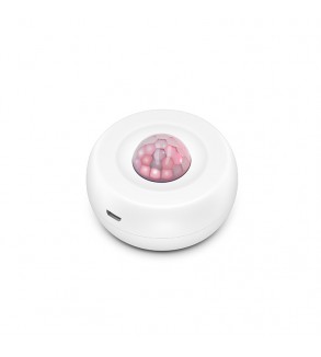 Alarm - Wifi PIR detector - Alexa and Google Home compatible